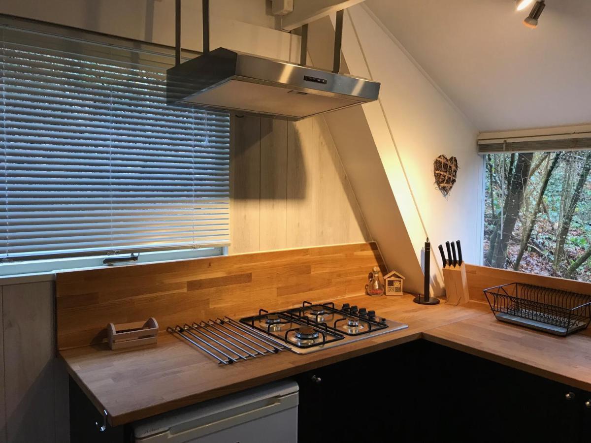 Heavenly Renovated Cabin Near Pittoresque Durbuy - Whistler Villa Exterior foto