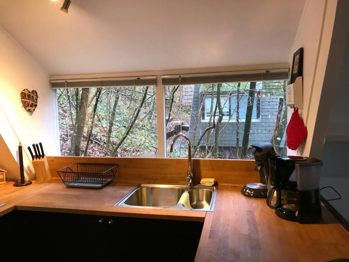 Heavenly Renovated Cabin Near Pittoresque Durbuy - Whistler Villa Exterior foto