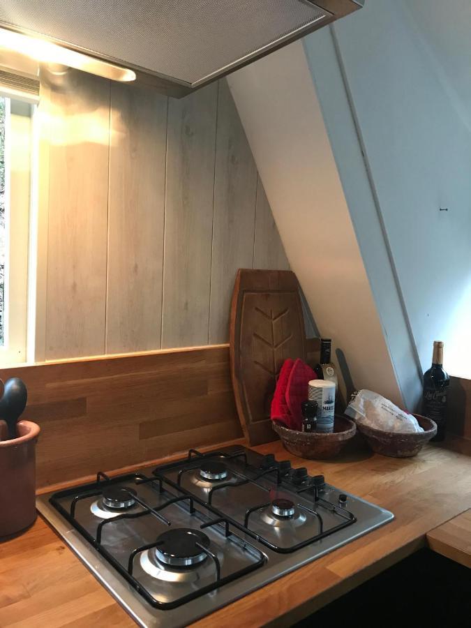 Heavenly Renovated Cabin Near Pittoresque Durbuy - Whistler Villa Exterior foto